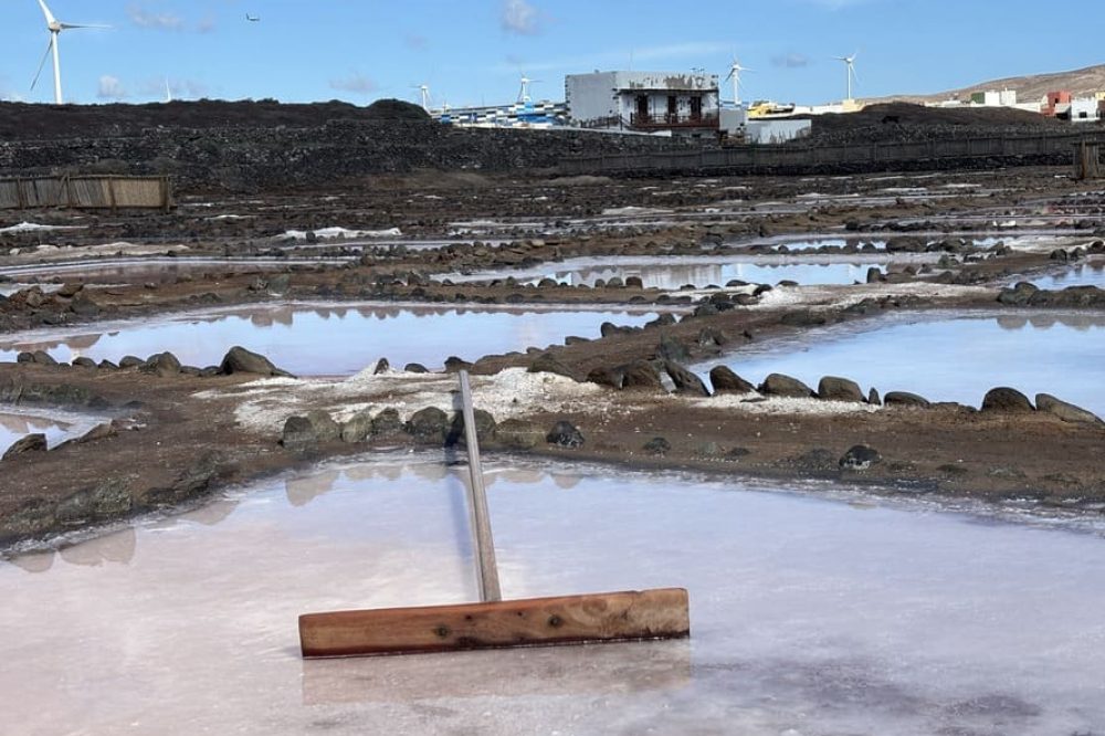 visita cultural salinas Gran Canaria Retiro de Paddle Surf y Yoga / cultural visit salt flat Gran Canaria